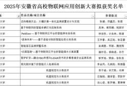 物理与电子信息学院学子在2025年安徽省高校物联网应用创新大赛中再创佳绩
