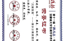 第十一届“挑战杯·华安证券”安徽省大学生课外学术科技作品竞赛省二等奖