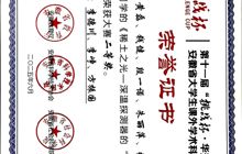 第十一届“挑战杯·华安证券”安徽省大学生课外学术科技作品竞赛省二等奖